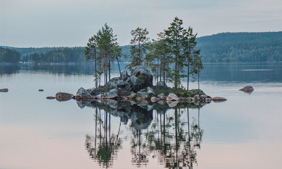 little island of trees and rocks within a lake
